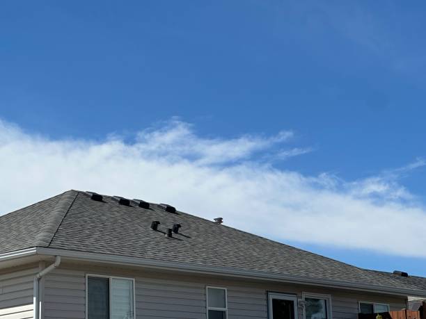 Best Sheet Metal Roofing  in Hebron, OH